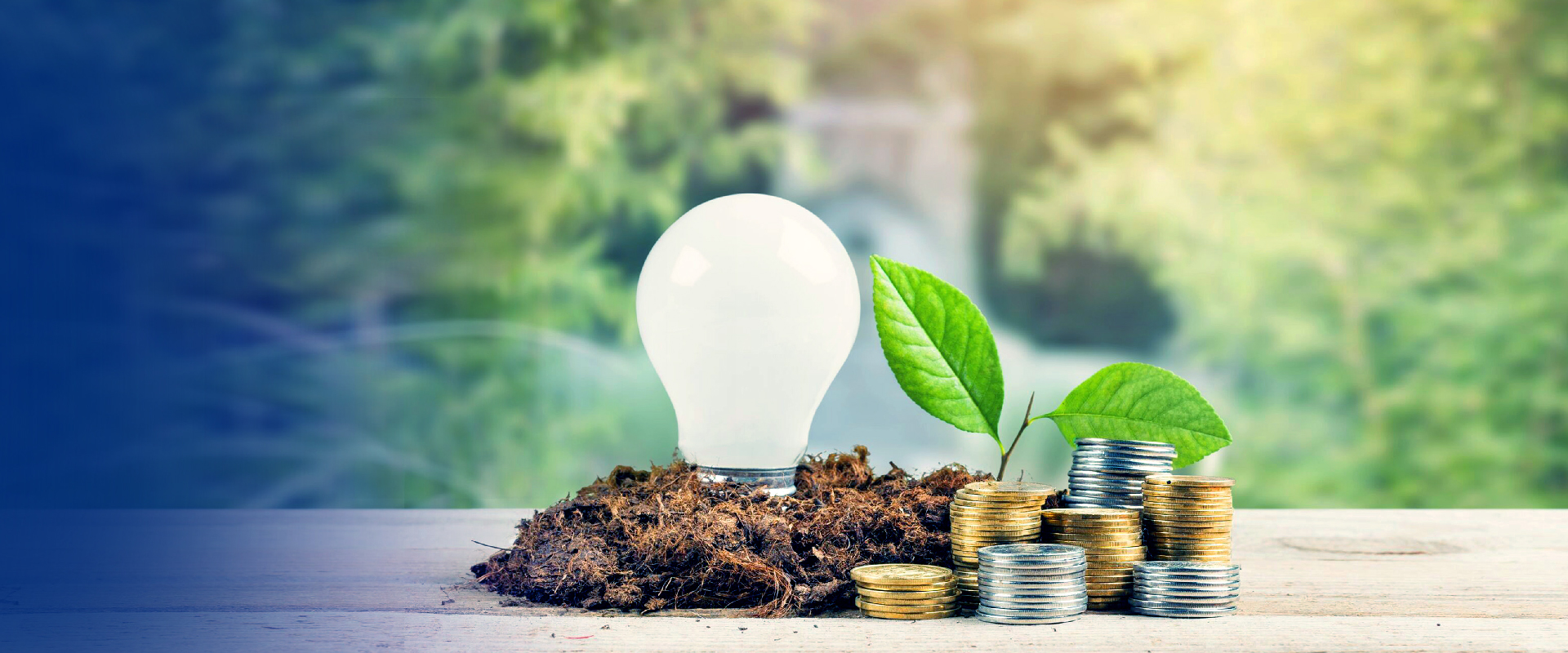 ESG Sustainable Investments (ESG)